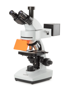 B+ Series Fluorescence